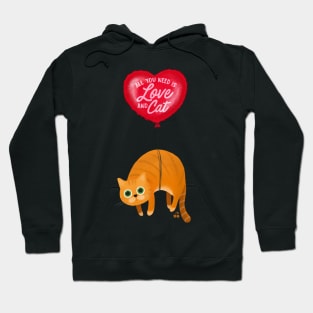 Love and Cat Hoodie